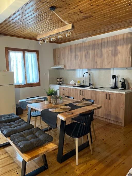 ヴァシリキPolitis' Wooden Houseアパートメント エクステリア 写真