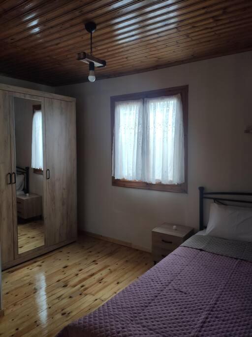 ヴァシリキPolitis' Wooden Houseアパートメント エクステリア 写真