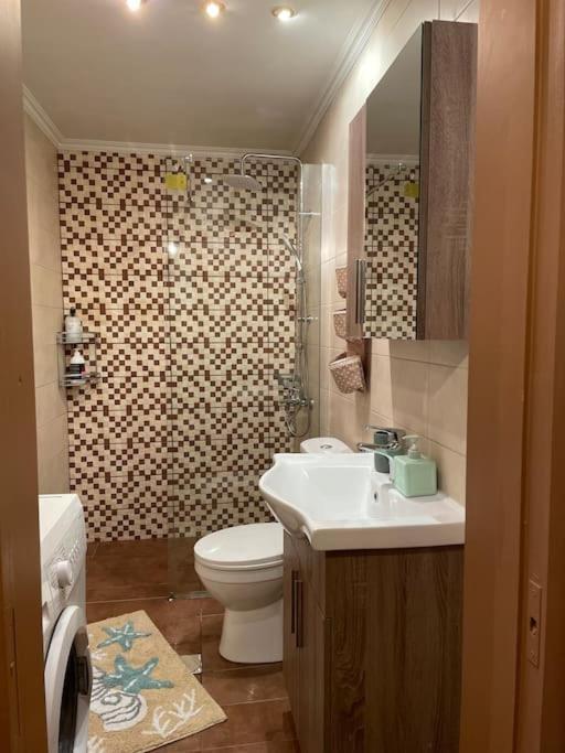 ヴァシリキPolitis' Wooden Houseアパートメント エクステリア 写真