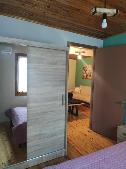 ヴァシリキPolitis' Wooden Houseアパートメント エクステリア 写真